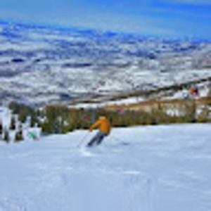 Meet your Posher, Sam